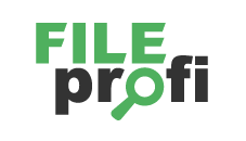 FileProfi - профессиональное восстановление данных в Южно-Сахалинске
